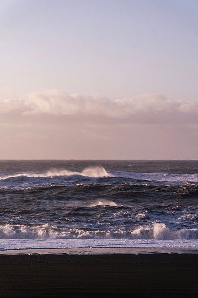Rust en Rauw Branding aan Vulkanisch Strand Paarse Golven van Femke Ketelaar