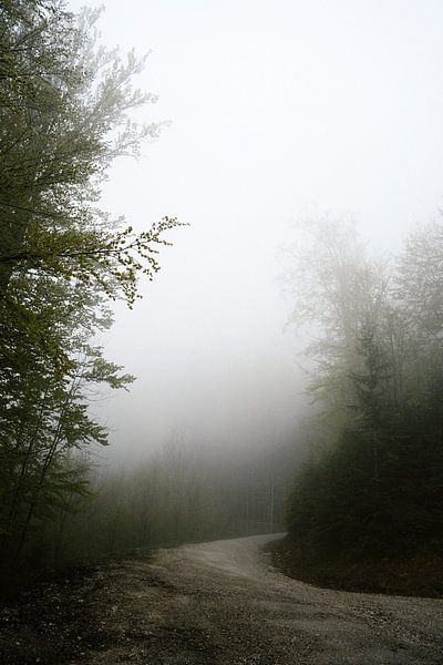 Wandern in den Wolken von Wianda Bongen