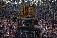 Monastery forest nature chair