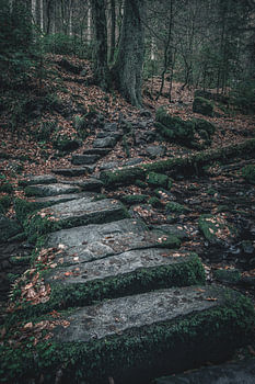 Steinbrücke im Monbachtal