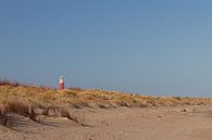 Lighthouse Texel. van Nicole van As thumbnail