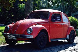 De oude kever van Frank's Awesome Travels