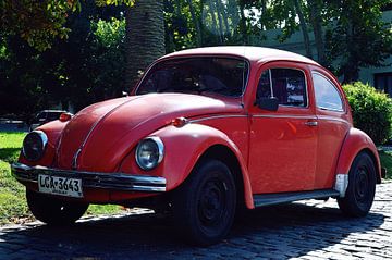 Der alte Käfer von Frank's Awesome Travels