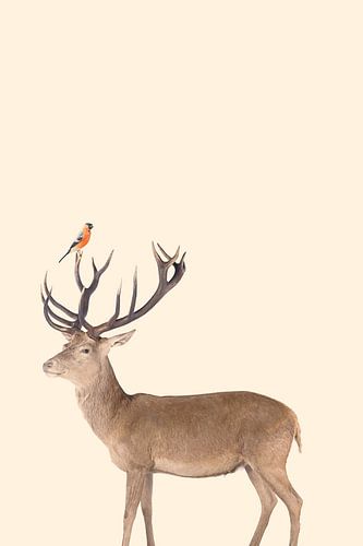 Friendship by Martin Bergsma