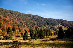 Blick ins Menzenschwander Albtal im Herbst