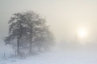 Lever de soleil à travers le brouillard