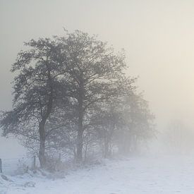 Lever de soleil à travers le brouillard sur Rene Metz