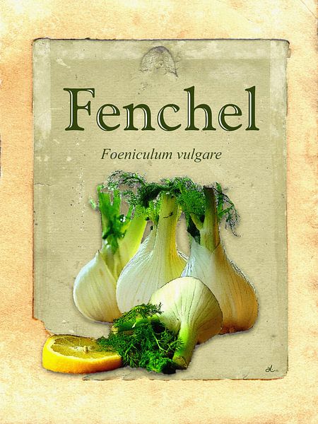 Küchenbild Fenchel von Dirk H. Wendt