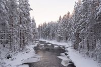 Winter in Finnisch-Lappland