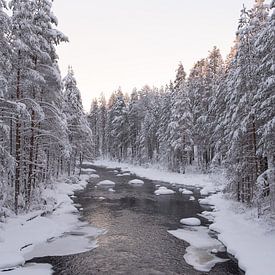 L'hiver en Laponie finlandaise sur Ruud Bakker