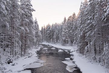 Winter in Finnisch-Lappland von Ruud Bakker