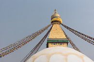 Les yeux du stupa Bouddhanath à Katmandou | Népal par Photolovers reisfotografie Aperçu
