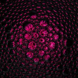 fuchsia Gerbera in Tropfen von Marjolijn van den Berg