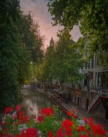 Zen Saturday on the Oude gracht,Utrecht