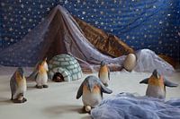 pinguins 
