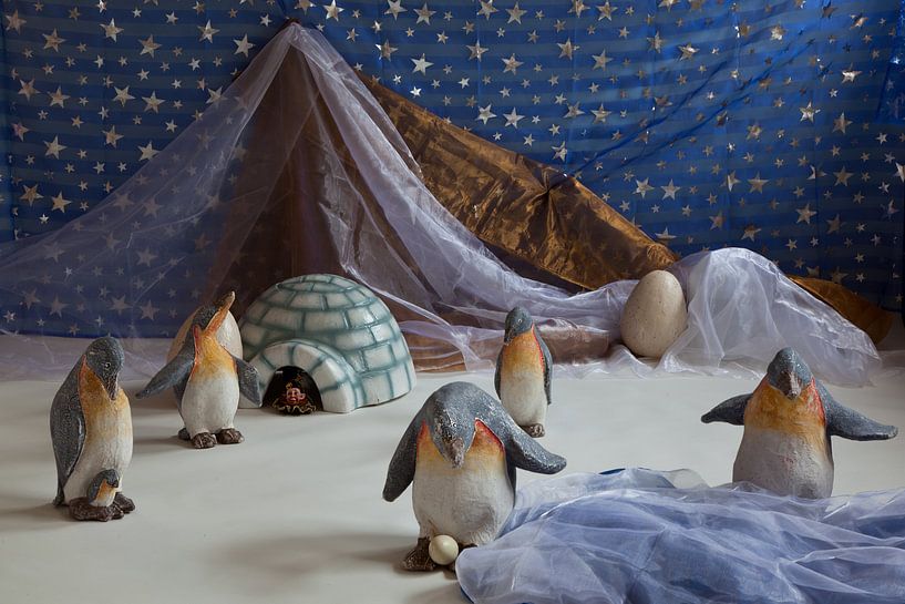 pinguins  by marlies bouten