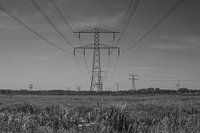 Strommasten auf einer Weide in Grey