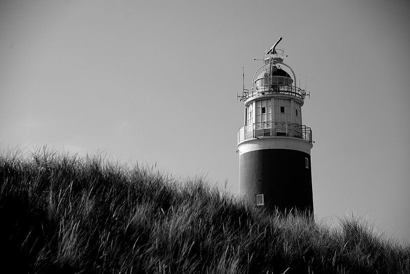 Texel by Elly Kiljan