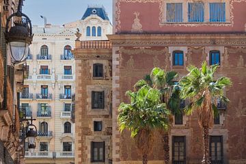 Monumentale gebouwen van Barcelona van Truus Nijland