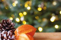Weihnachtsstimmung, mit Tannenzapfen und Laternenpflanze
