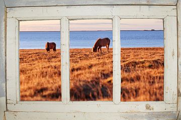 Windowview and horses by Co Seijn