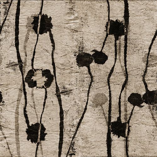 Rauwe natuur. Botanische collage in wit.