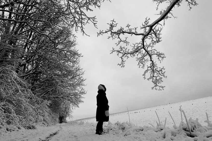 Liebe Darcy.... - Kruiningen von Maurice Weststrate