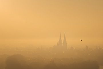 Silhouet van de oude stad Regensburg met de kathedraal in het wazige ochtendlicht van Robert Ruidl