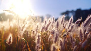 Lavendel Extase von ByNoukk