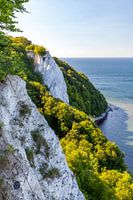 Jasmund sur l'île de Rügen au bord de la mer Baltique avec les falaises de craie