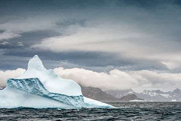 Les icebergs autour de la Géorgie du Sud sur Ron van der Stappen