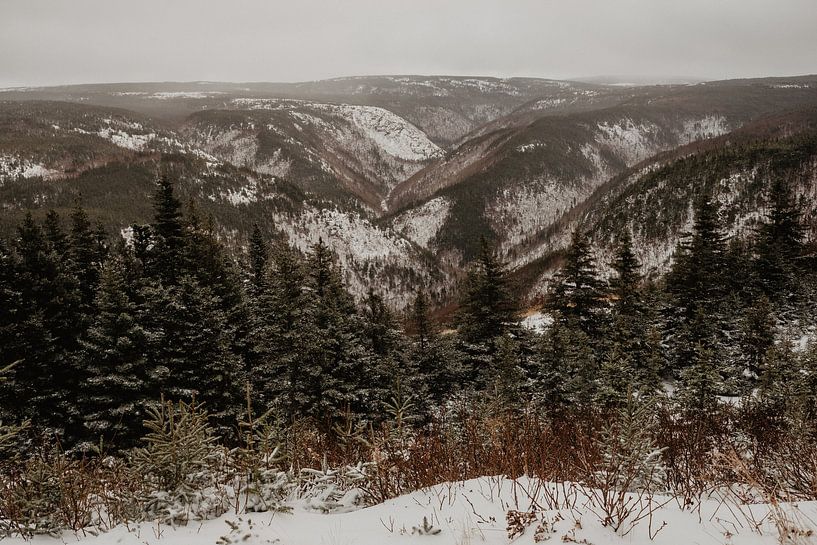 View Bergen by Nadeche Lubberink
