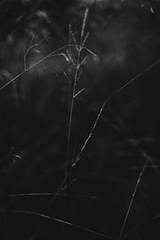 it's all about the details by Holly Klein Oonk