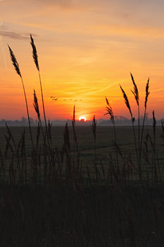 Flamme du matin – Le soleil se lève au-dessus du champ