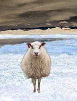 Dollie das Schaf in abstrakter isländischer Landschaft