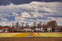 hyacinth field houses