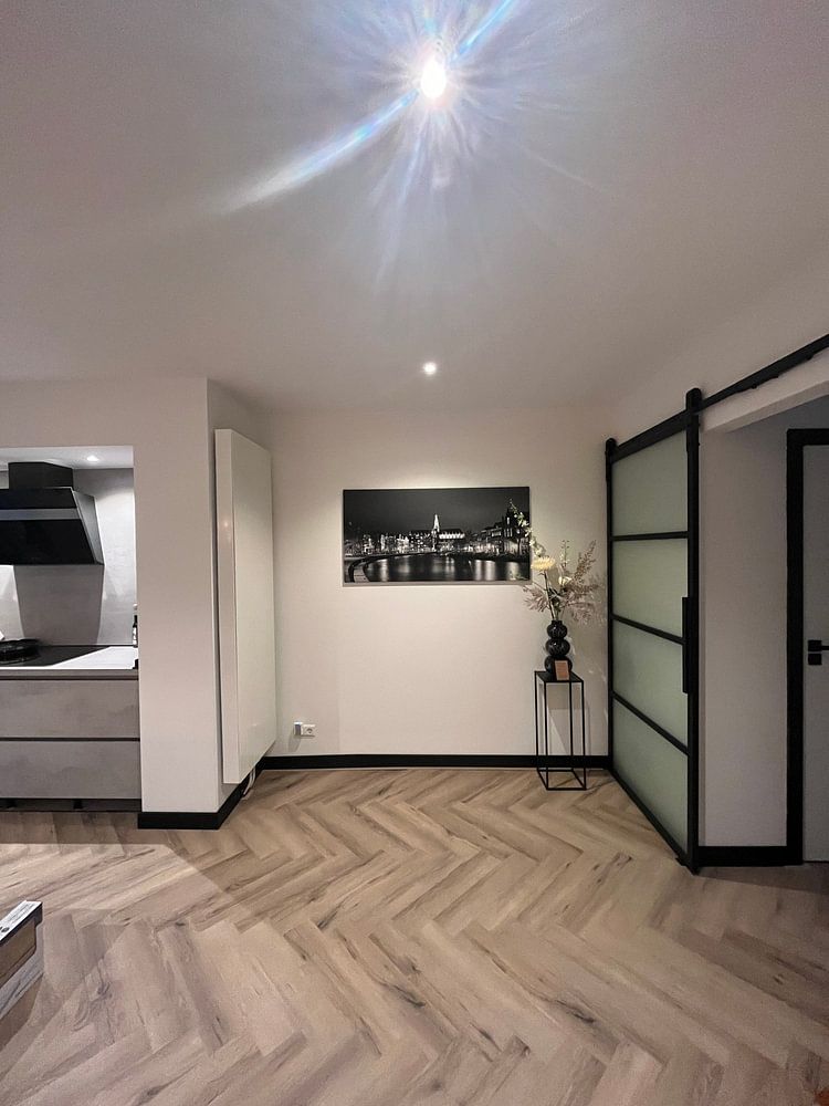 Haarlem in Black and White  by Harro Jansz 