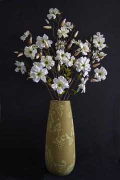 Witte Magnolia met knoppen van Hille Bouma
