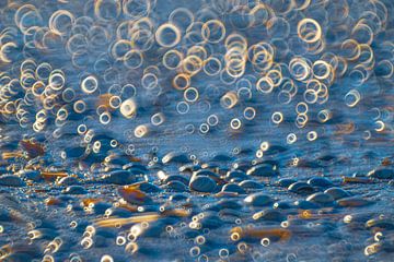 Schelpen op het strand van Yanuschka | Fotografie Noordwijk