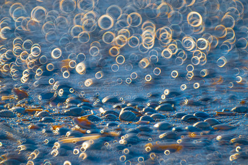 Strand Noordwijk