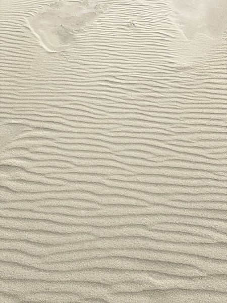 Muster von Hanneke Bantje