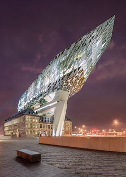 Illuminated Antwerp Port House against a purple sky at night by Tony Vingerhoets