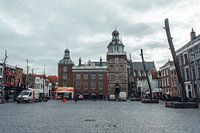 The Town Hall of Goes