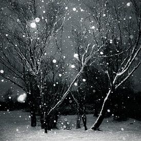 Snow Forest by Dorit Fuhg