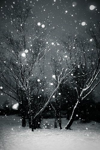 Snow Forest by Dorit Fuhg