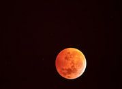 Rode bloedwolf maan in het heelal von Marc Crutzen Miniaturansicht