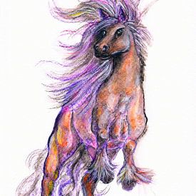Fantasy horse von Sasha Butter-van Grootveld