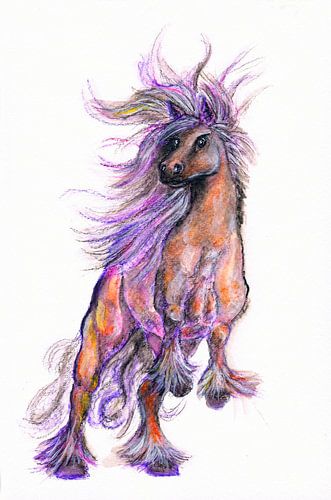 Fantasy horse van Sasha Butter-van Grootveld