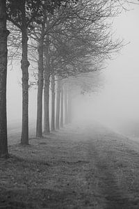 Bomen in de mist van Mariette Kranenburg