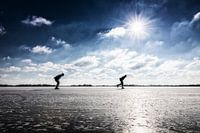 Skaters
